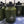 A green 6 litre stainless steel water bottle with a black lid and carrying handle, branded with 'Stumpy Michael'.